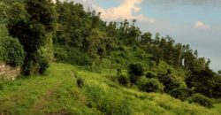 Koti Dehradun Project: Luxury Residences